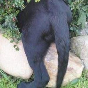 Meet your Posher, Joanne